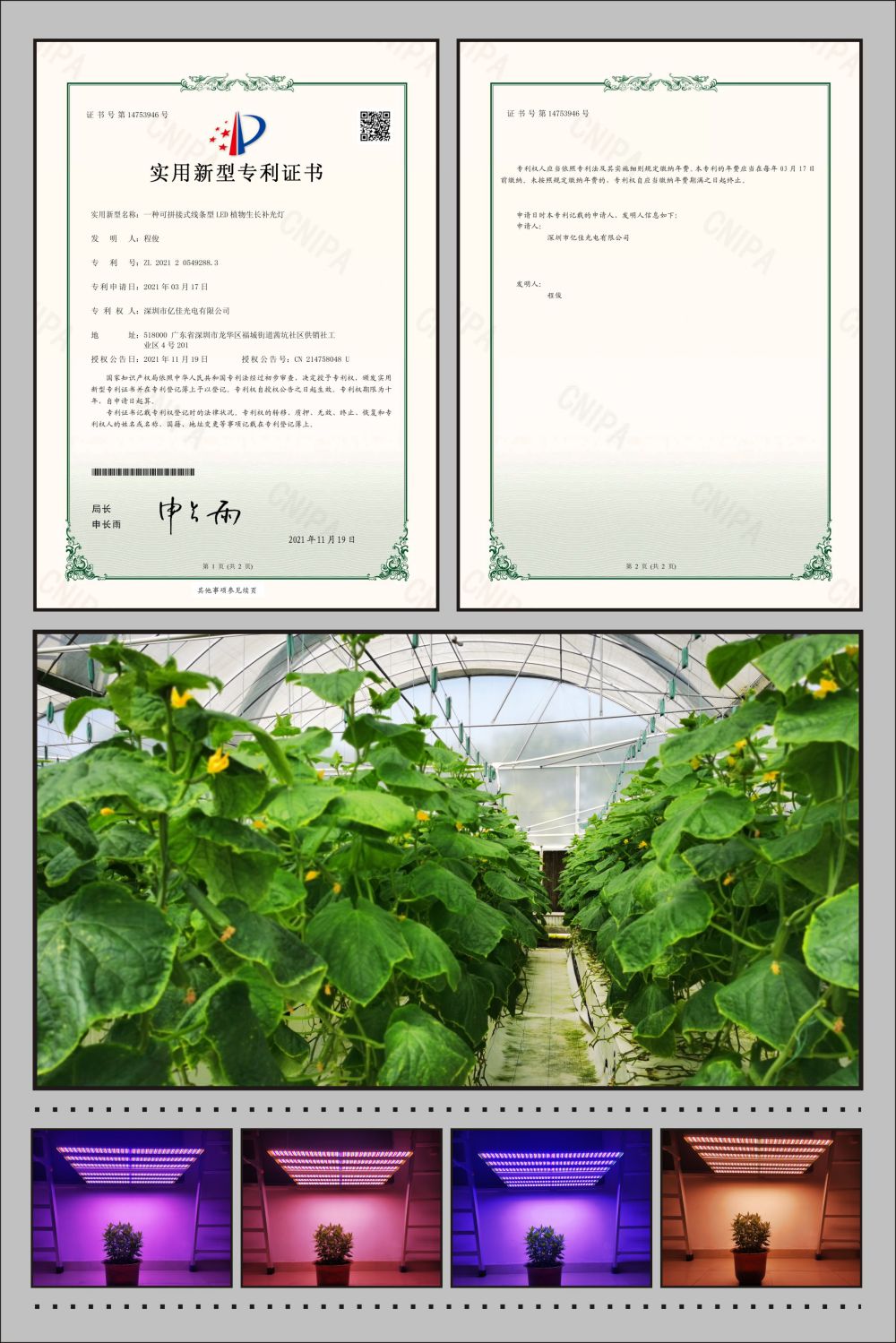 EBET易博植物农场灯适用新型专利